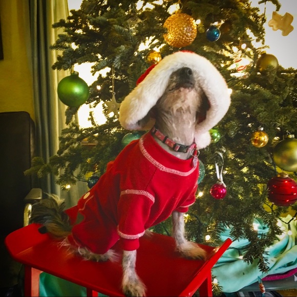 Meet your Posher, Meighan - Picture 5 of 7